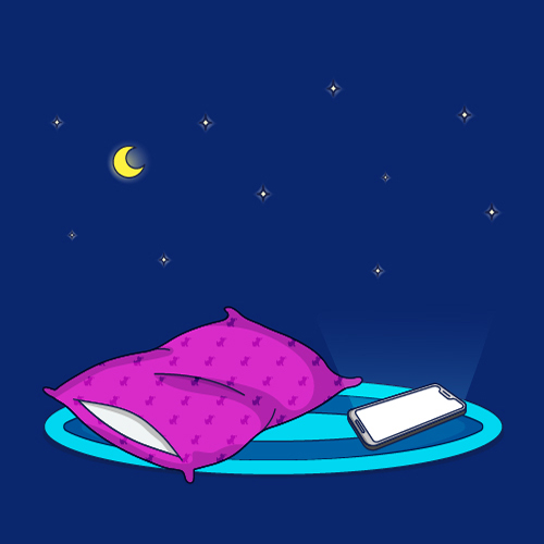 Different Houses, Different Rules: Sleepovers in the Digital Age
