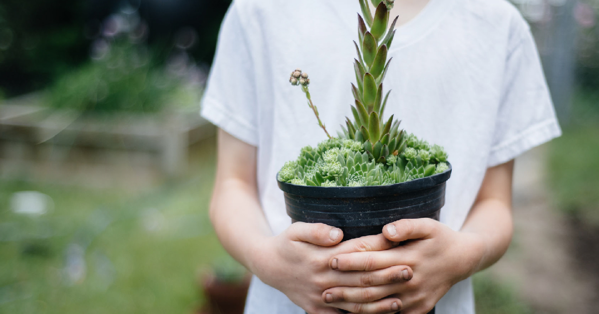 Best summer activities for kids Best summer activities for kids