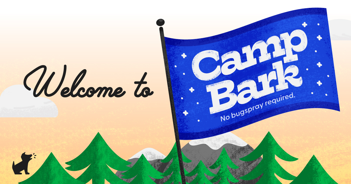 Summer Activities for Kids A blue camp banner against a yellow sky with evergreen trees at the bottom