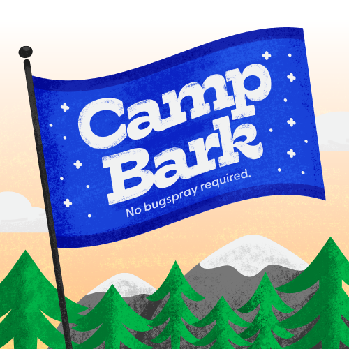 Welcome to Camp Bark! Summer Activities for Kids