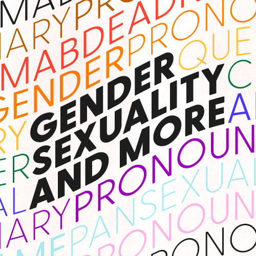 "Gender, sexuality, and more" in black text against a rainbow background of LGBTQ+ terms