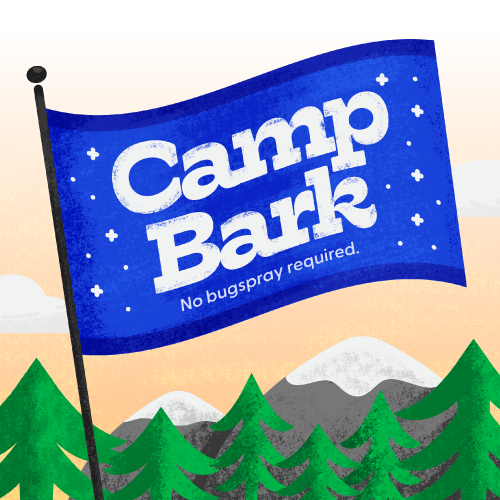 A blue camp banner against a yellow sky with evergreen trees at the bottom