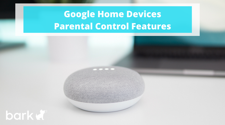 Google Home Devices Parental Control Features