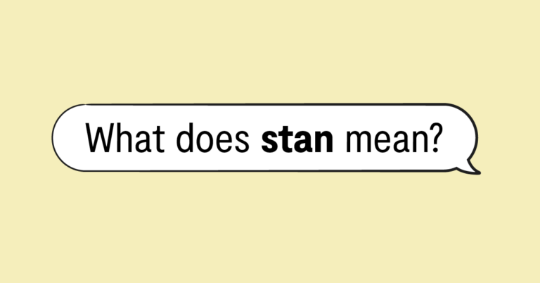 "what does stan mean" in speech bubble and yellow background