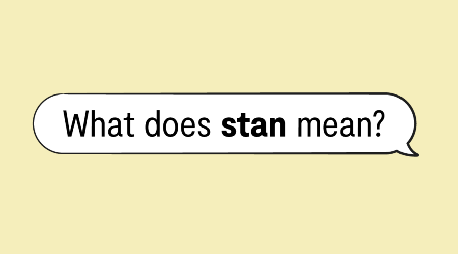 "what does stan mean" in speech bubble and yellow background