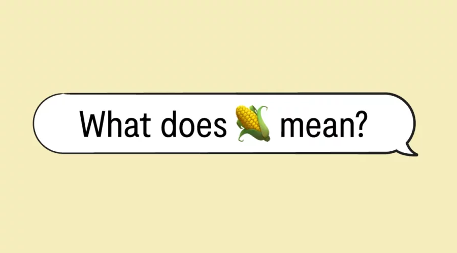 "what does 🌽 mean?" in speech bubble