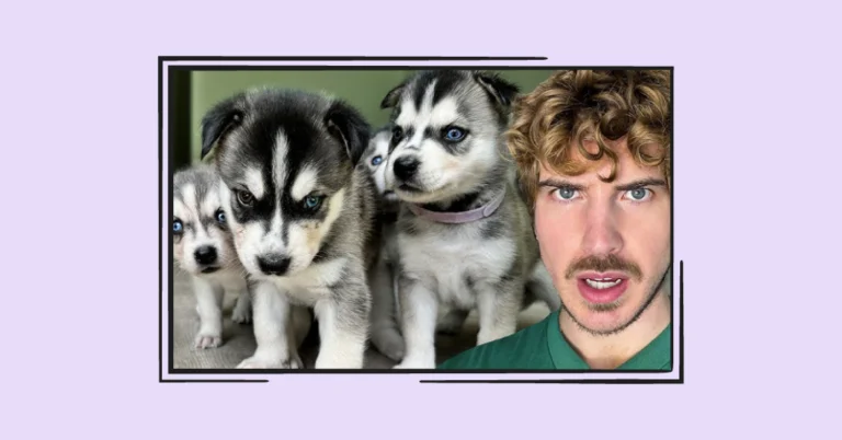joey graceffa screen grab