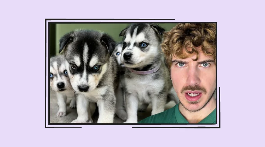 joey graceffa screen grab