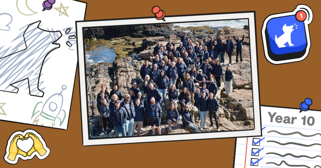 bulletin board with bark team picture on it