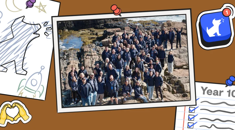 bulletin board with bark team picture on it