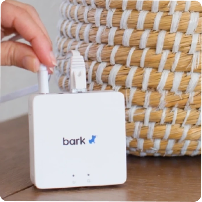 The Bark Home device